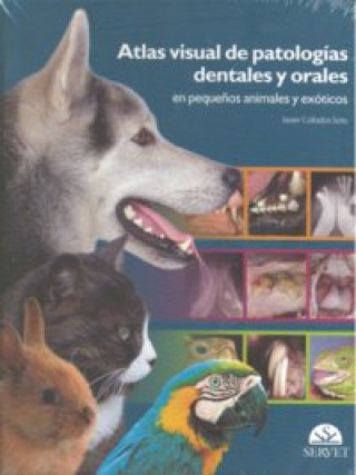 Книга Atlas visual de patologías dentales y orales en pequeños animales y exóticos Collados Soto