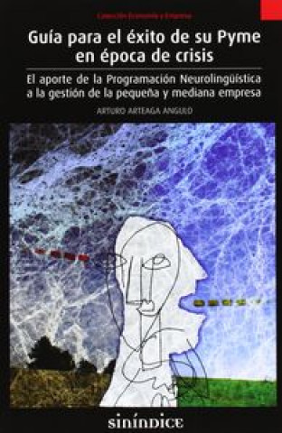Kniha Guía para el éxito de su Pyme en época de crisis Arteaga Angulo