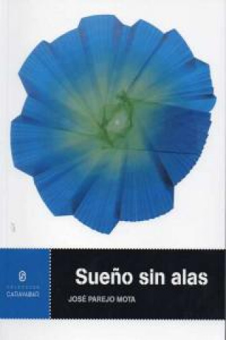 Knjiga Sueño sin alas PAREJO MOTA