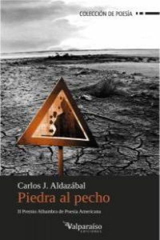 Boek Piedra al pecho Aldazábal