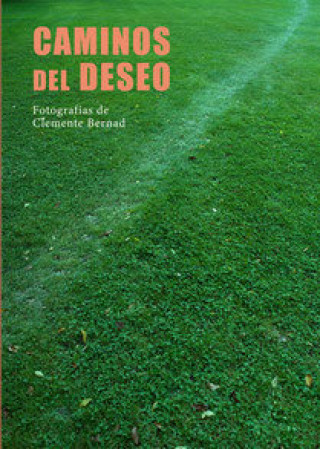 Kniha Caminos del deseo BERNAD ASIAIN