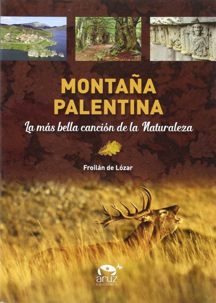 Kniha MONTAÑA PALENTINA DE LOZAR RODRIGUEZ