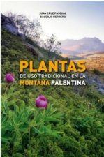 Kniha PLANTAS DE USO TRADICIONAL EN LA MONTAÑA PALENTINA PASCUAL GIL