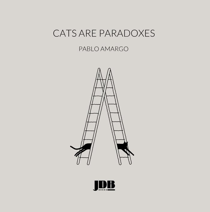 Kniha Cats are paradoxes Díaz Tamargo
