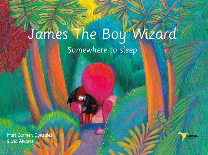 Книга James The Boy Wizard González Sánchez