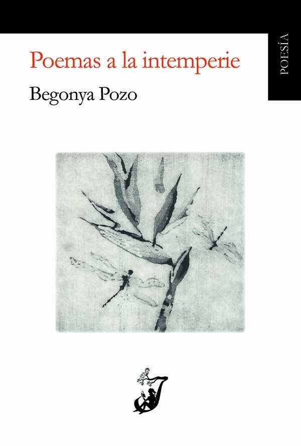 Książka Poemas a la intemperie Pozo Sánchez