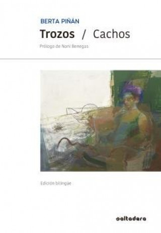 Buch Trozos / Cachos Piñán Suárez