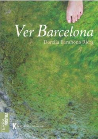Buch VER BARCELONA BARAHONA RIERA