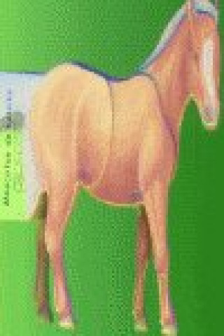 Knjiga PONI MDB 