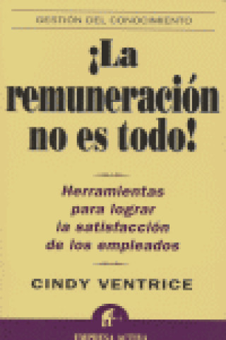 Buch REMUNERACION NO ES TODO VENTRICE