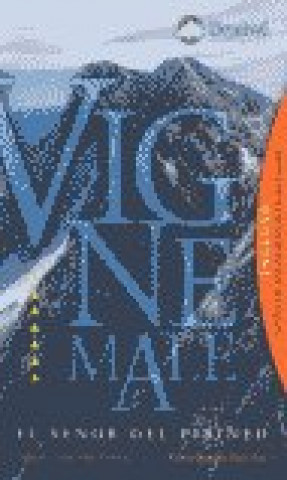 Libro VIGNAMALE MARTINEZ EMBID