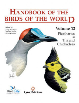 Carte Handbook of the Birds of the World. Vol.12 