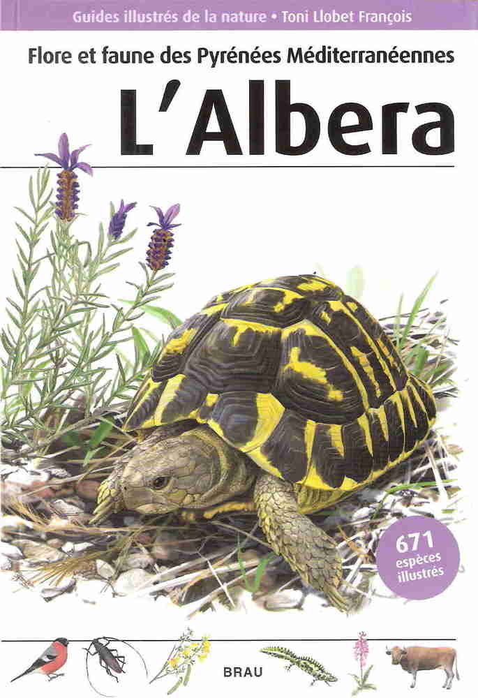 Kniha Flore et faune des Pyrénées Mediterranéennnes. L'Albera Budó Ricart