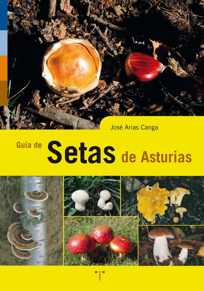 Kniha Guía de setas de Asturias Arias Canga