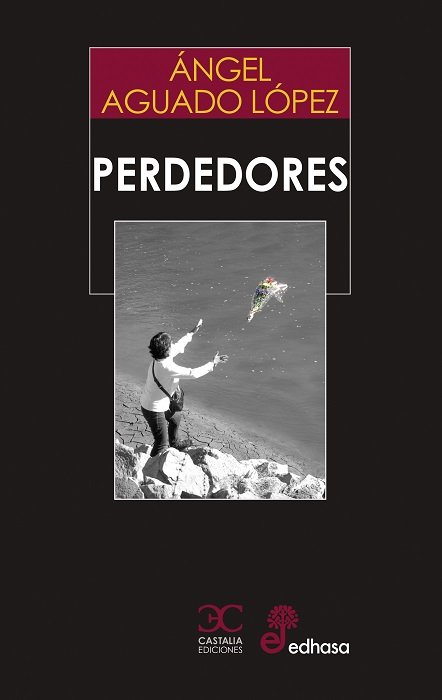 Book Perdedores Aguado