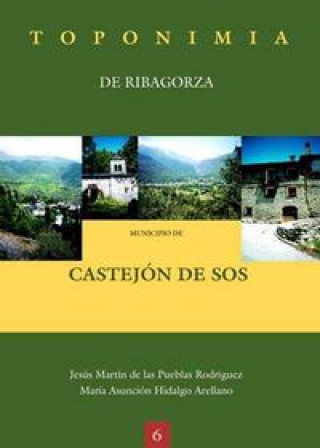 Könyv Toponimia de Ribagorza. Municipio de Castejón de Sos Martín de las Pueblas Rodríguez