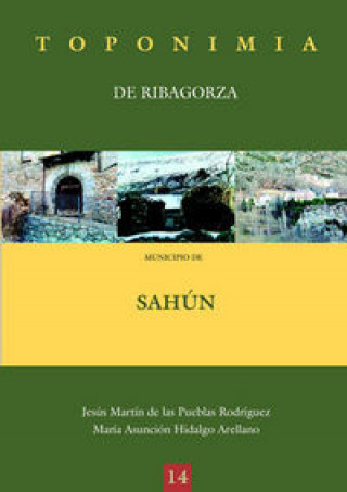 Könyv Toponimia de Ribagorza. Municipio de Sahún Martín de las Pueblas Rodríguez