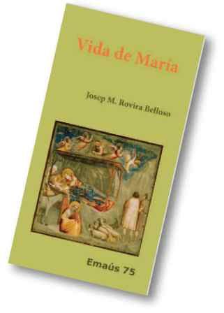 Knjiga Vida de María Rovira Belloso