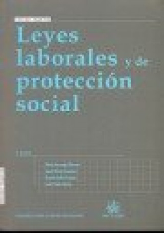 Kniha Leyes laborales y de protección social 3ª Ed. 2009 Efrén Borrajo Dacruz