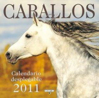 Knjiga Caballos 