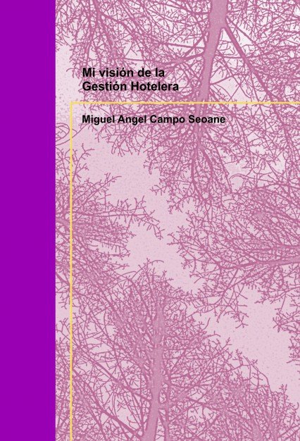 Könyv Mi visión de la Gestión Hotelera Seoane Angel Campo