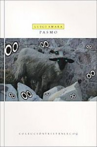 Kniha PASMO AMARA