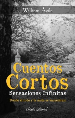 Book CUENTOS CORTOS SENSACIONES INFINITAS ÁVILA