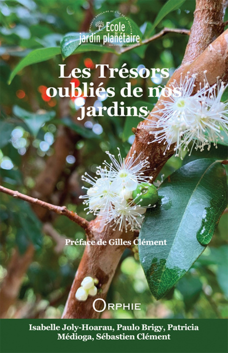 Book LES TRESORS OUBLIES DE NOS JARDINS MEDIOGA PATRICIA