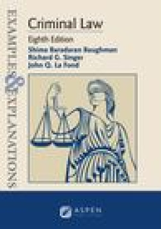 Book Examples & Explanations for Criminal Law SINGER
