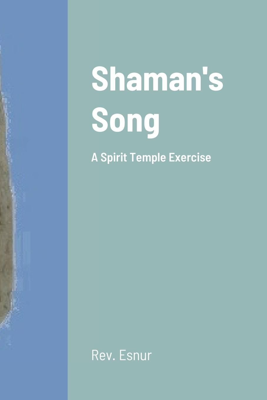 Buch Shaman's Song 