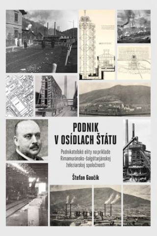 Könyv PODNIK V OSÍDLACH ŠTÁTU Štefan Gaučík