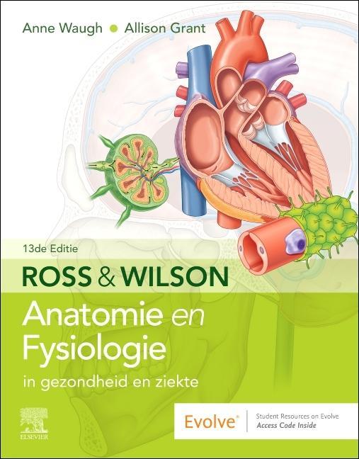 Kniha Ross en Wilson Anatomie en Fysiologie in gezondheid en ziekte Anne Waugh