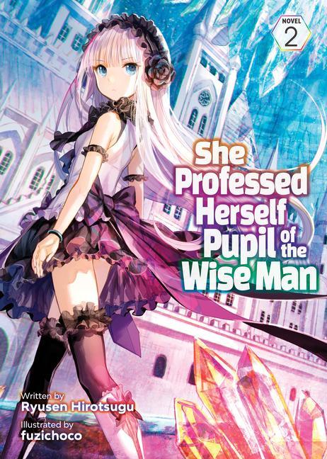 Könyv She Professed Herself Pupil of the Wise Man (Light Novel) Vol. 2 Fuzichoco