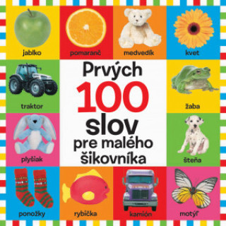 Book Prvých 100 slov pre malého šikovníka 