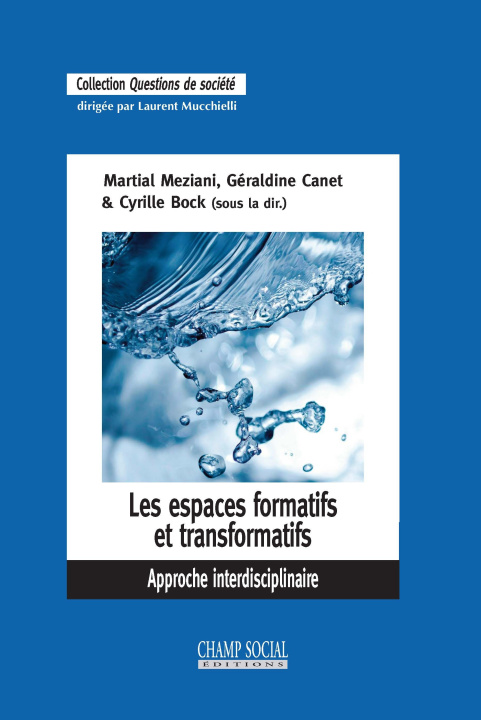 Knjiga Les espaces formatifs et transformatifs. Approche interdisciplinaire MEZIANI