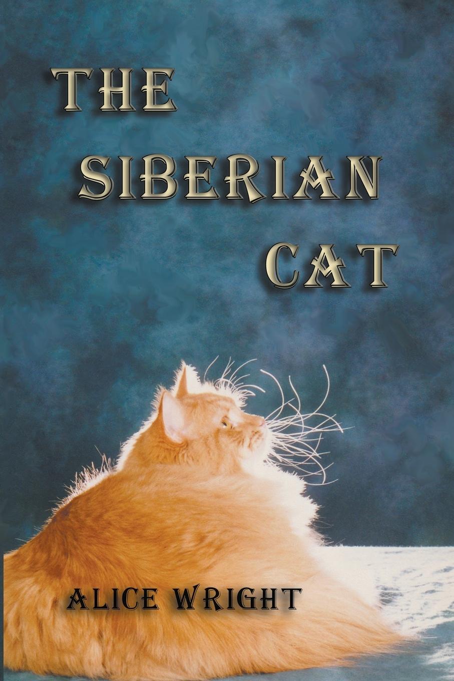 Carte Siberian Cat 