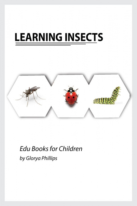 Kniha Learning Insects Glorya Phillips