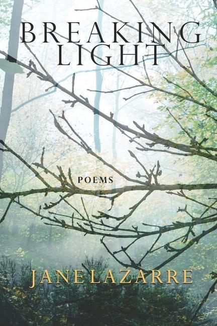Book Breaking Light Jane Lazarre