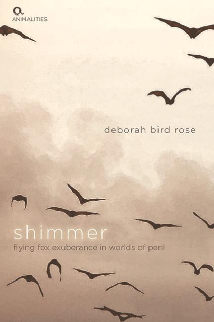 Buch Shimmer Deborah Bird Rose