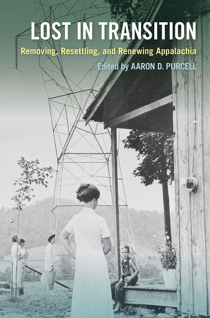 Knjiga Lost in Transition Aaron D. Purcell