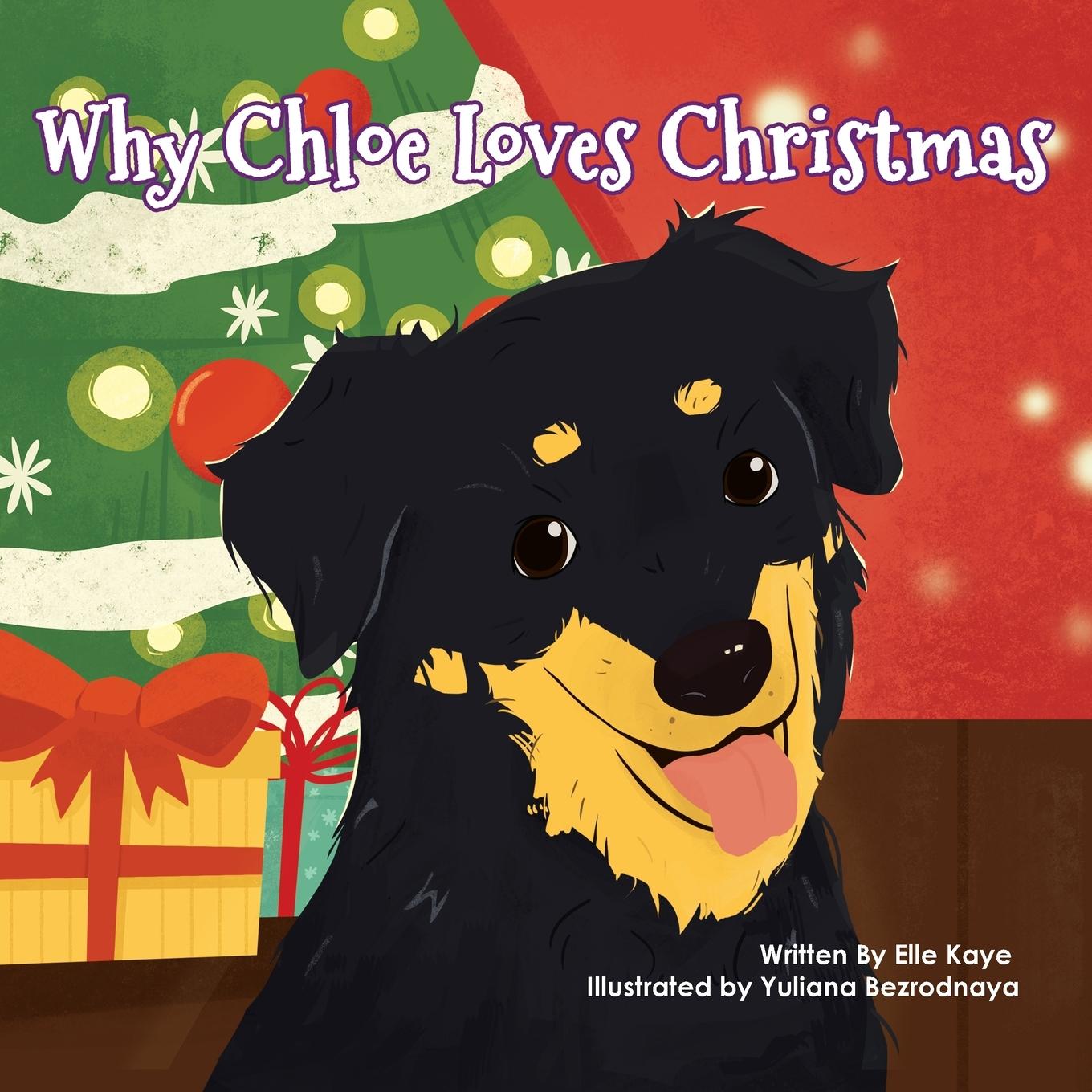 Buch Why Chloe Loves Christmas Elle Kaye