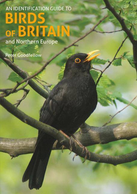 Könyv Identification Guide to Birds of Britain and Northern Europe (2nd edition) Peter Goodfellow
