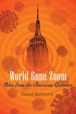 Libro World Gone Zoom DAVID BELMONT