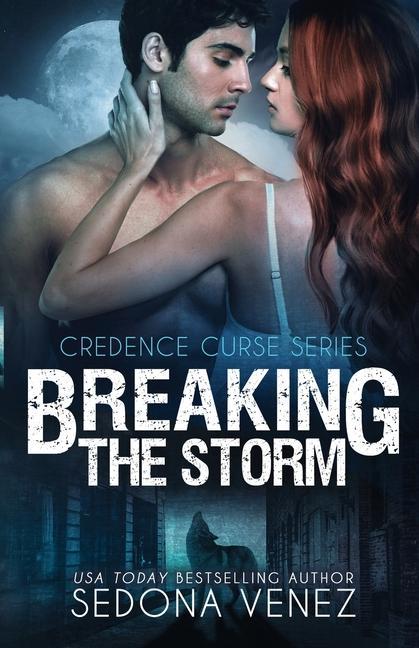 Boek Breaking the Storm Venez Sedona Venez
