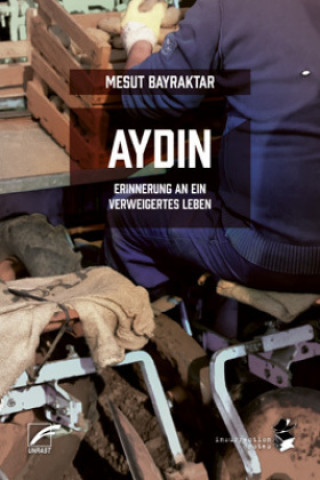 Книга Aydin Mesut Bayraktar