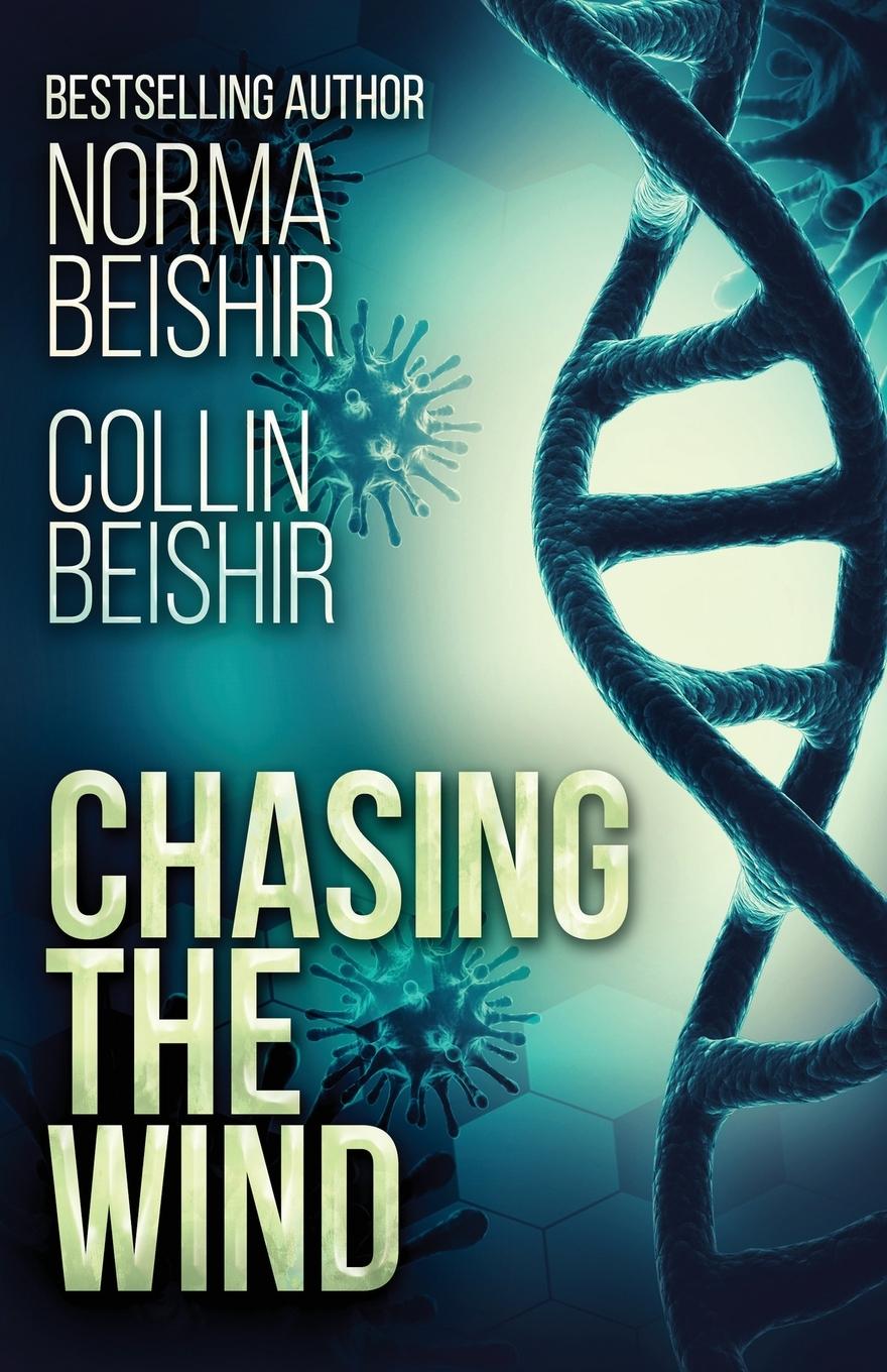 Book Chasing The Wind Norma Beishir