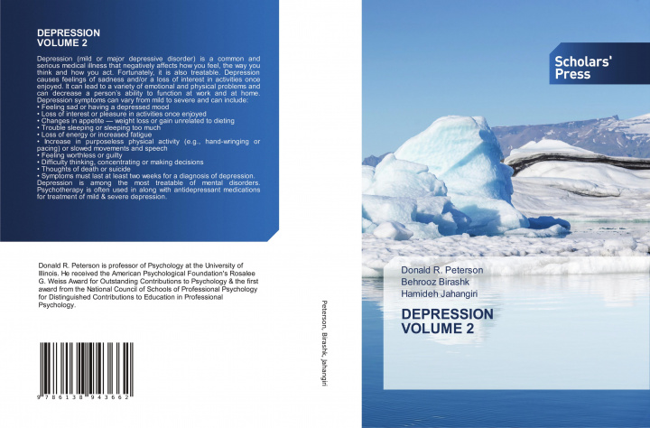 Kniha Depression Volume 2 DONALD R. PETERSON