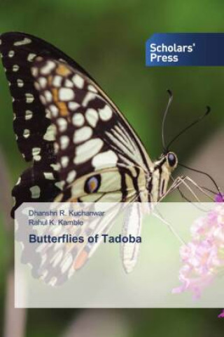 Kniha Butterflies of Tadoba DHANSHRI KUCHANWAR