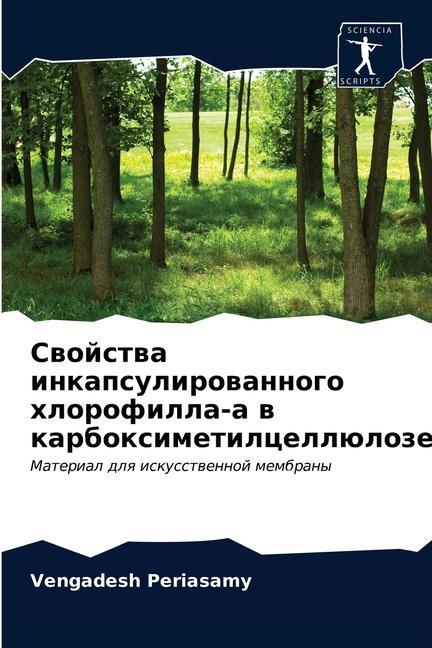 Buch Свойства инкапсулирова&# Periasamy Vengadesh Periasamy