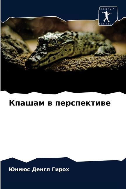 Kniha &#1050;&#1087;&#1072;&#1096;&#1072;&#1084; &#1074; &#1087;&#1077;&#1088;&#1089;&#1087;&#1077;&#1082;&#1090;&#1080;&#1074;&#1077; Ð“Ð¸Ñ€Ð¾Ñ… Ð®Ð½Ð¸ÑŽÑ Ð”ÐµÐ½Ð³Ð» Ð“Ð¸Ñ€Ð¾Ñ…